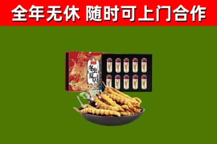 长洲区烟酒回收冬虫夏草礼盒.jpg